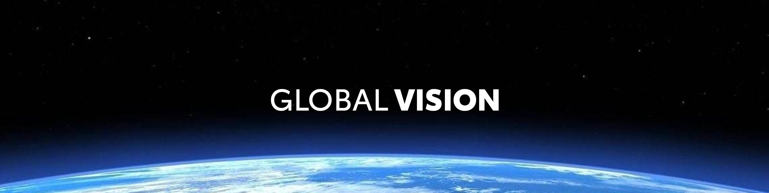 Toyota Global Vision