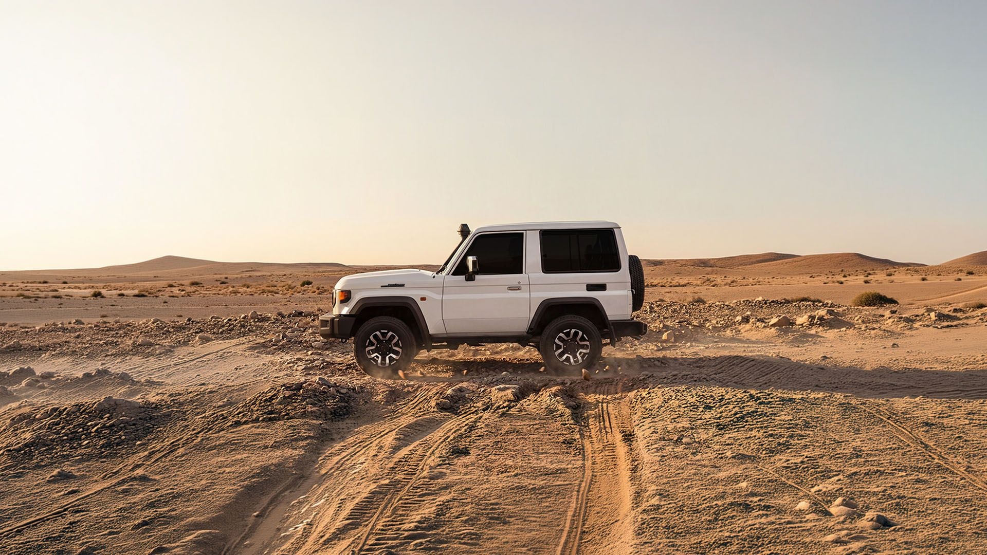 Workhorse For The Future